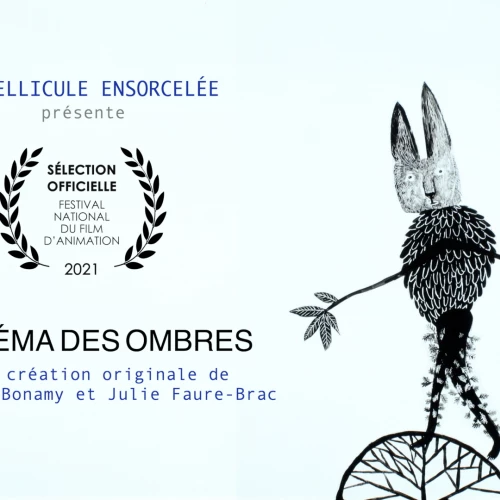 Le Cinéma des Ombres