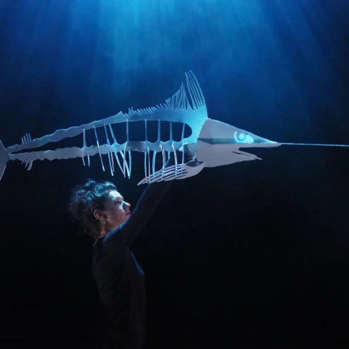 SELKIE, Ce que l'on porte